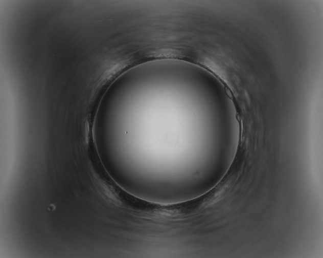 X0000086990109200704161513