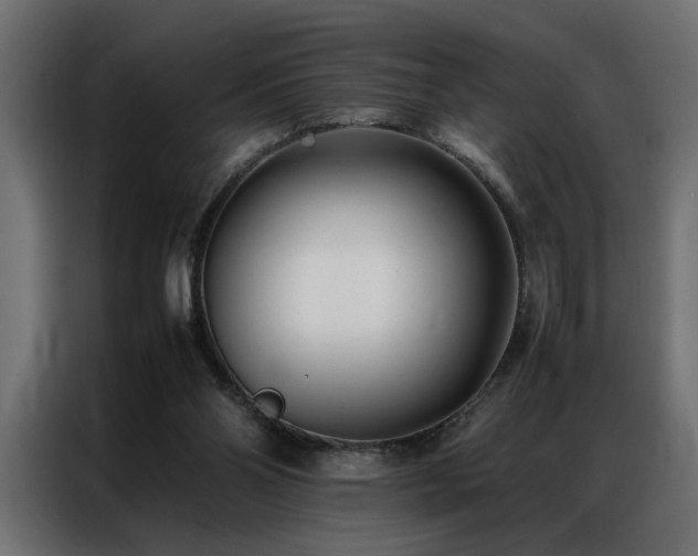 X0000086990110200704161513