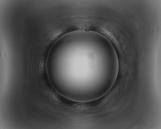 X0000086990113200704161513