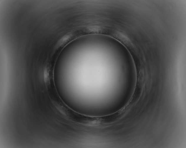 X0000086990116200704161513