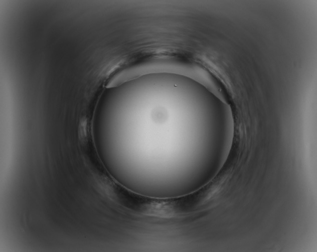 X0000086990117200704161513