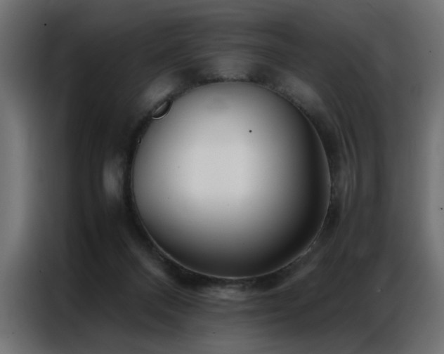 X0000086990120200704161513