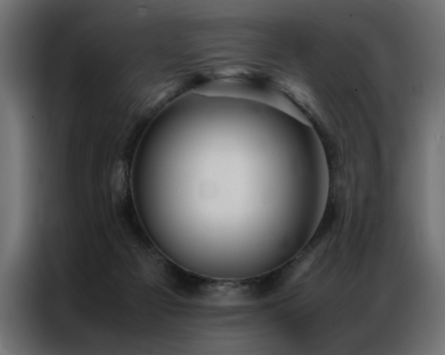 X0000086990121200704161513