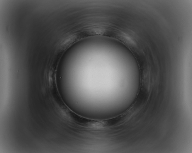 X0000086990122200704161513