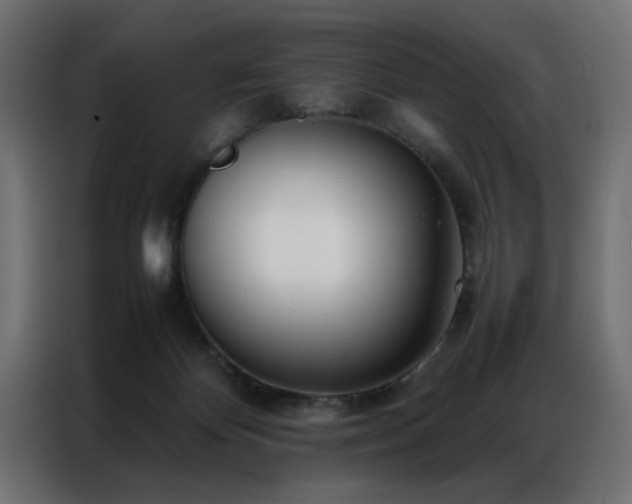 X0000086990124200704161513