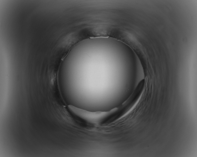 X0000086990125200704161513