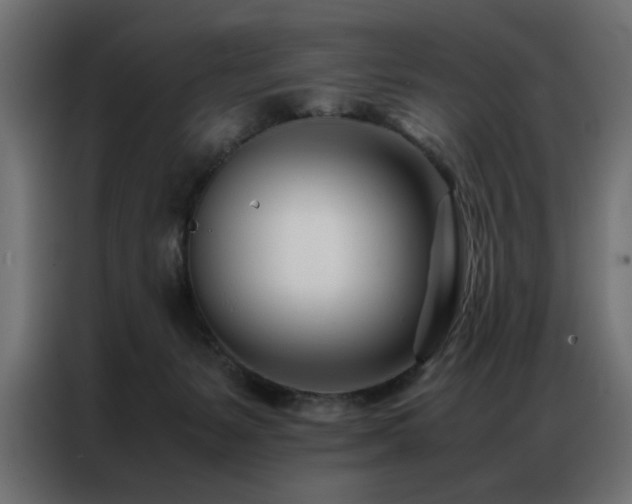 X0000086990127200704161513