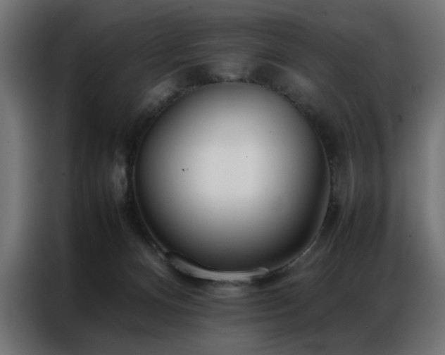 X0000086990128200704161513