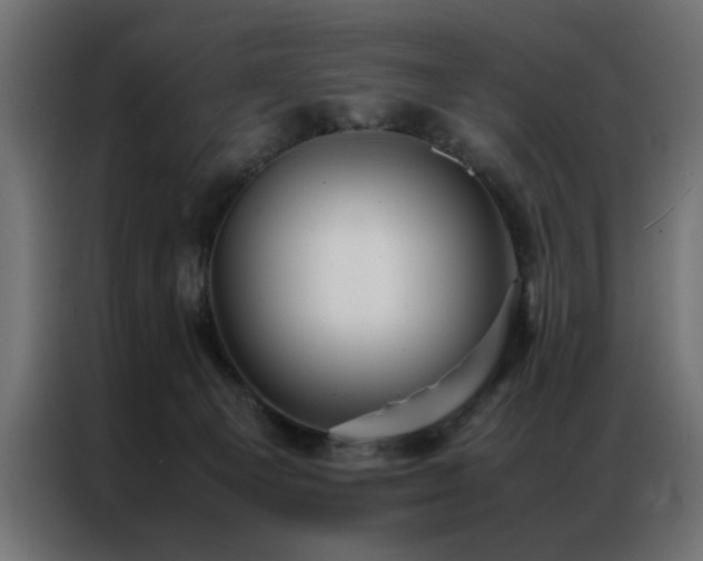 X0000086990129200704161513