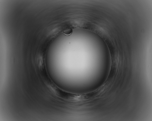 X0000086990130200704161513