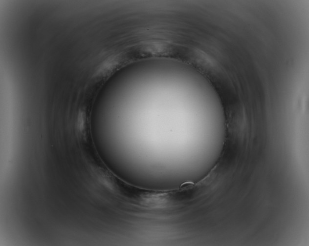 X0000086990132200704161513