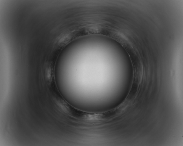 X0000086990134200704161513