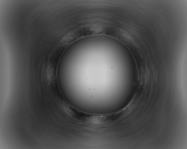 X0000086990136200704161513