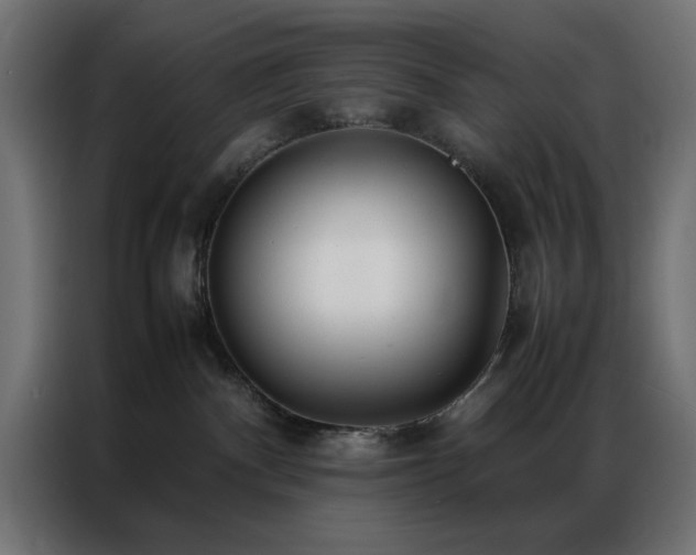 X0000086990140200704161512