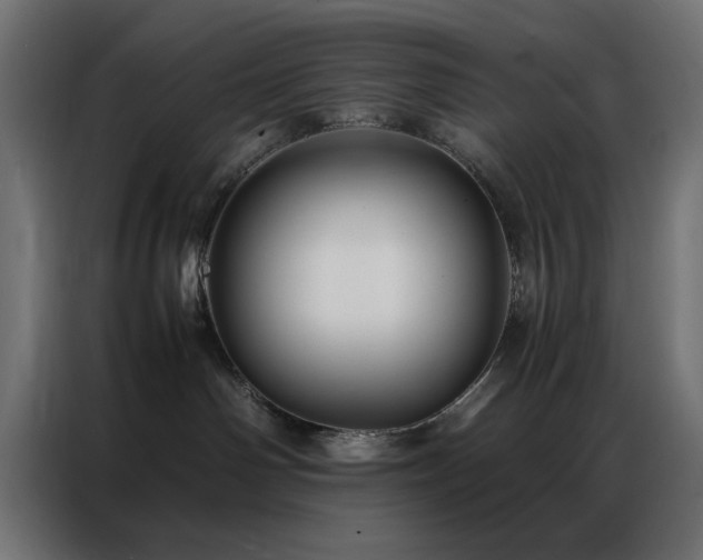 X0000086990142200704161512