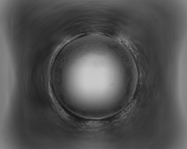 X0000086990145200704161512