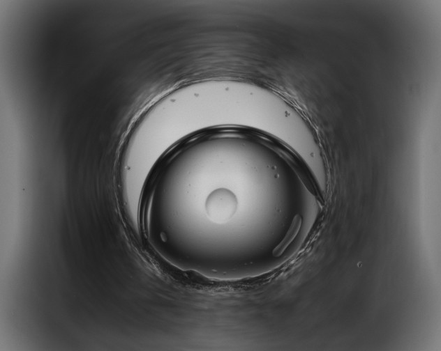 X0000086990146200704161512