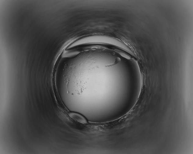 X0000086990147200704161512