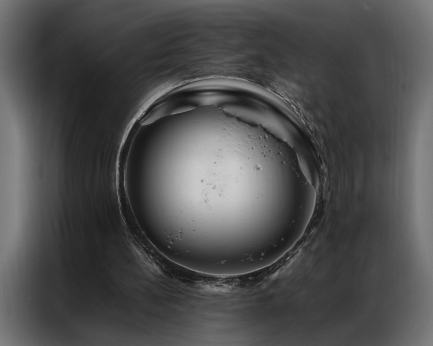 X0000086990148200704161512