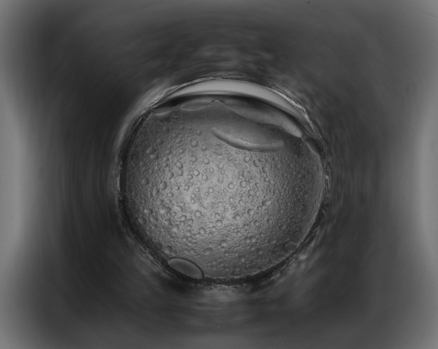 X0000086990149200704161512