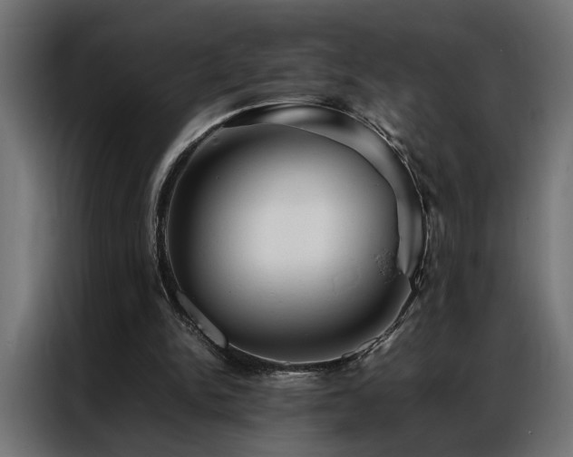 X0000086990150200704161512