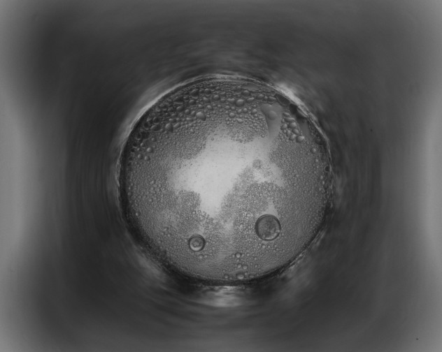 X0000086990151200704161512