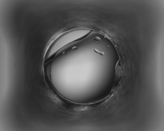 X0000086990152200704161512