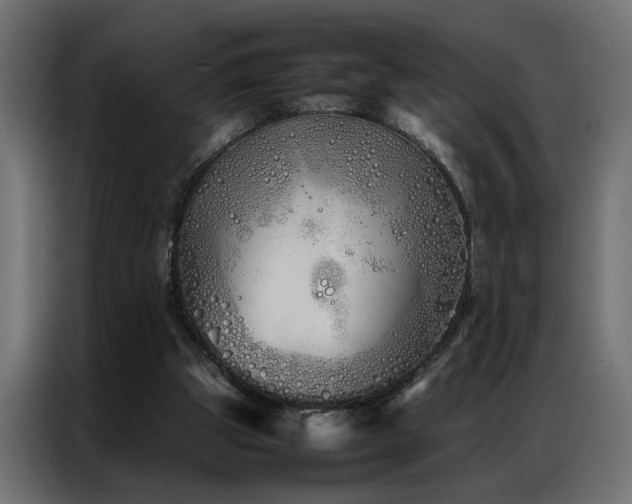 X0000086990153200704161512