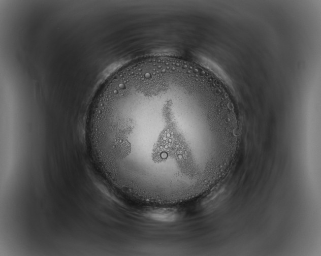 X0000086990155200704161512