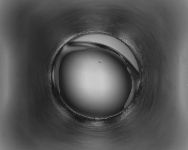 X0000086990156200704161512