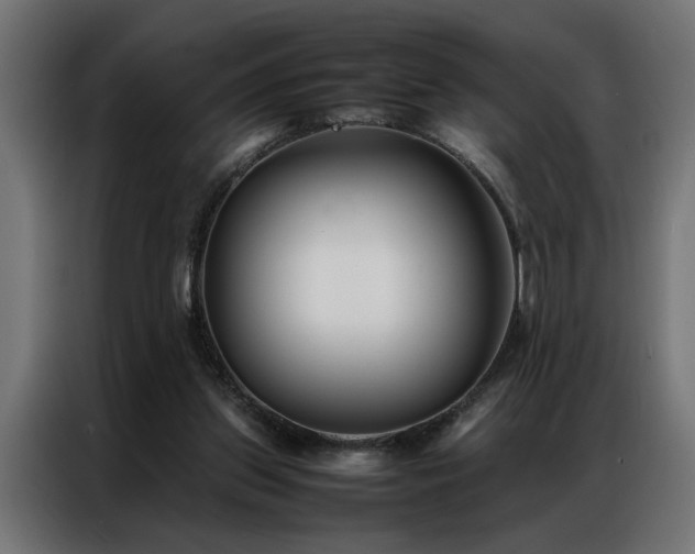 X0000086990157200704161512