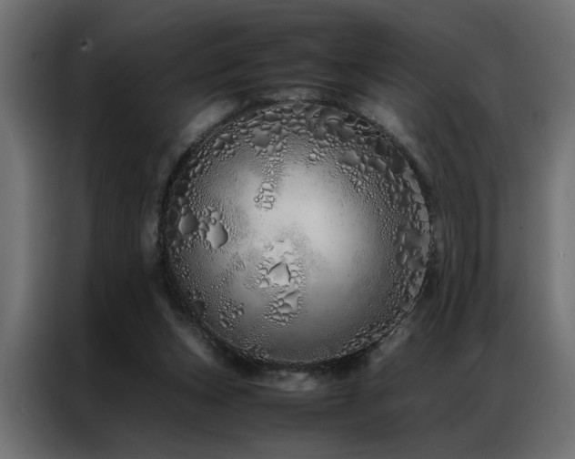 X0000086990159200704161512