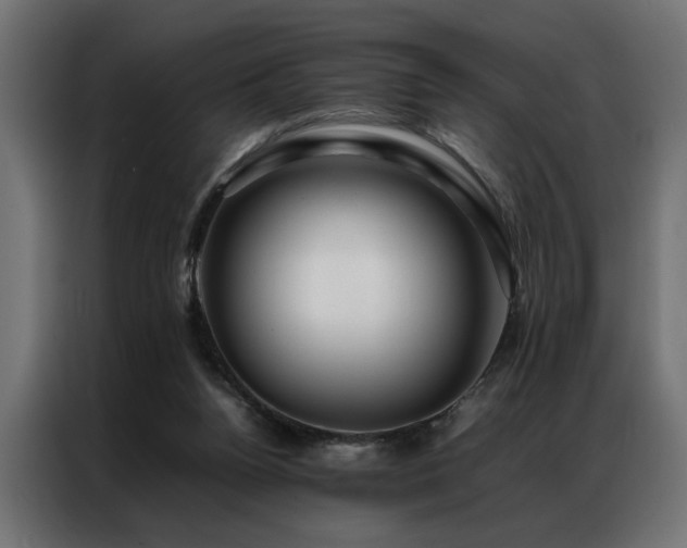 X0000086990160200704161512