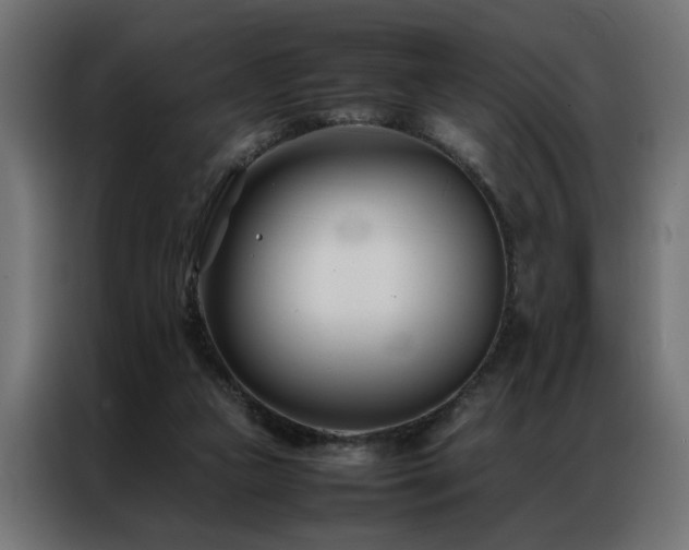 X0000086990161200704161512