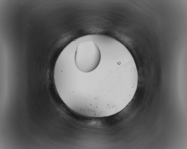 X0000086990162200704161512