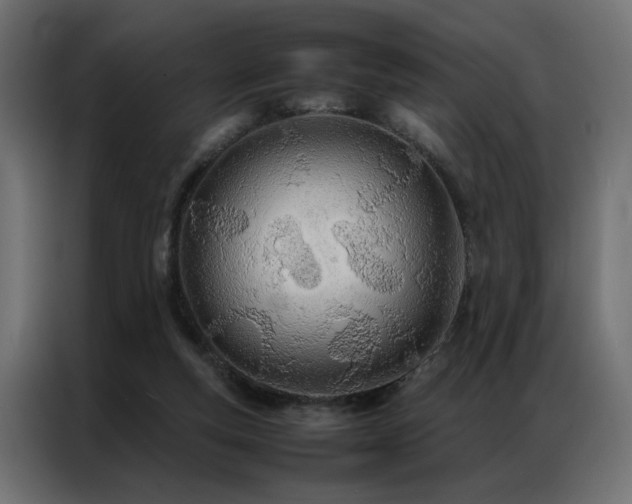 X0000086990163200704161512