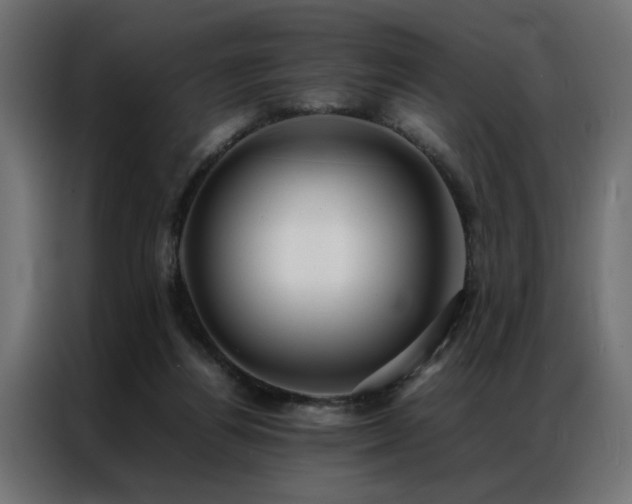 X0000086990164200704161512