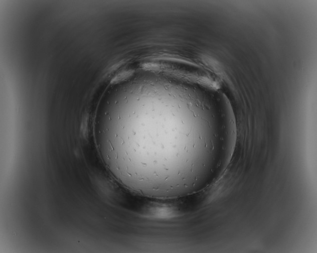 X0000086990167200704161512