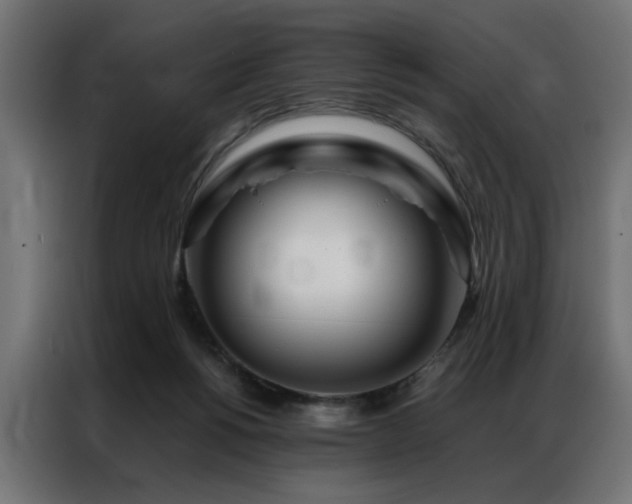 X0000086990168200704161512