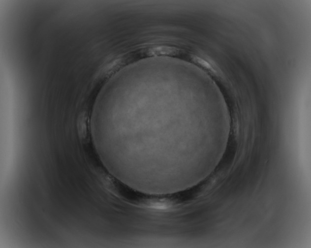 X0000086990169200704161512