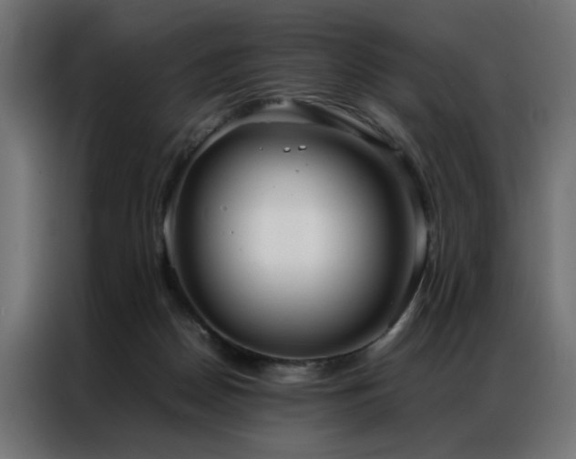 X0000086990170200704161512