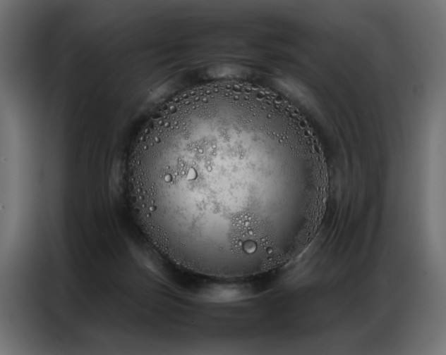 X0000086990171200704161512