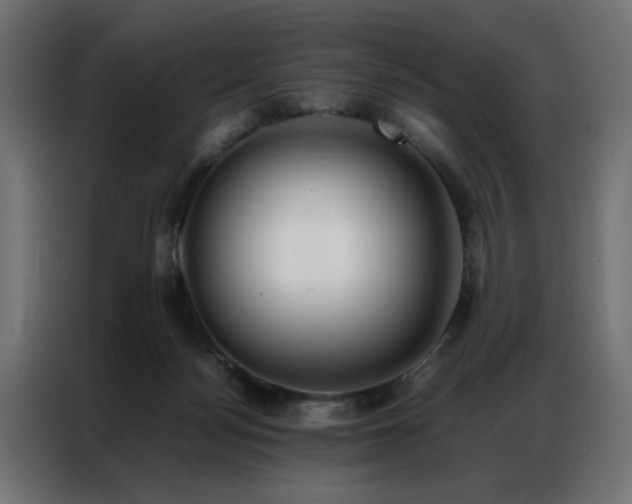 X0000086990172200704161512