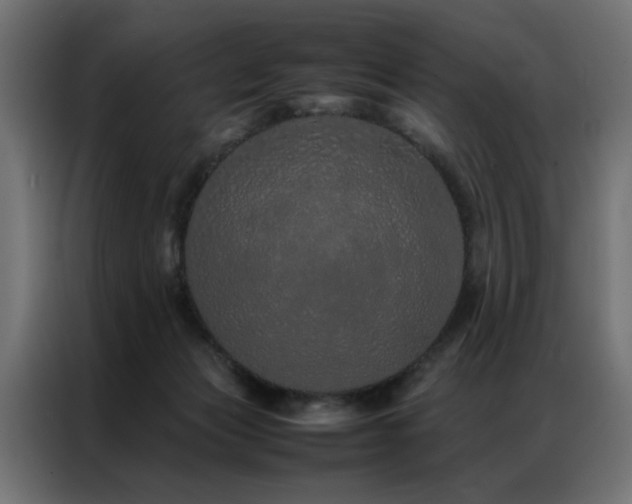 X0000086990173200704161512