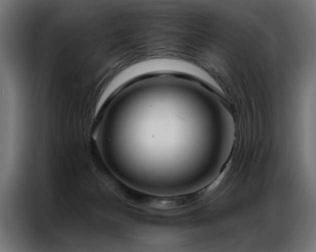 X0000086990174200704161512