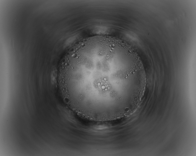 X0000086990175200704161512