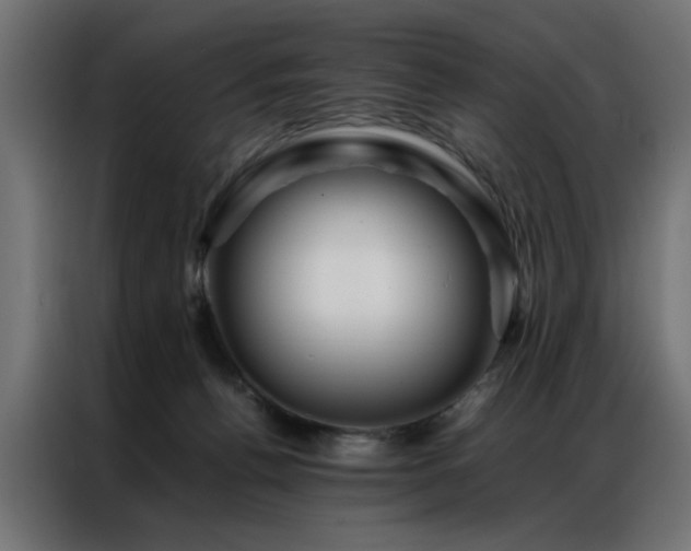 X0000086990176200704161512