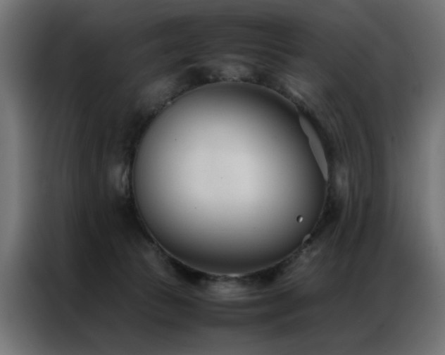 X0000086990177200704161512