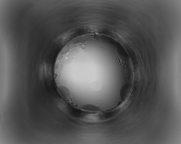 X0000086990178200704161512