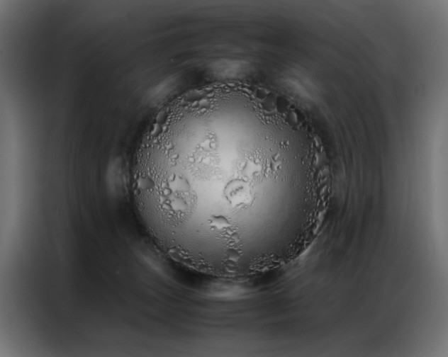 X0000086990179200704161512